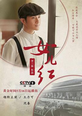 烈日狂风 封面图